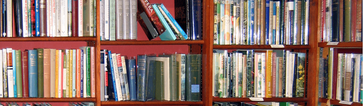 Books on shelves