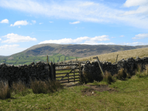 A scene on the walk from Dent Station to Sedbergh via Rise Hill
