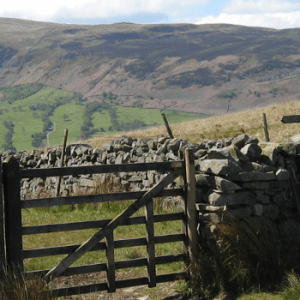 On the walk from Dent to Sedbergh via Rise Hill