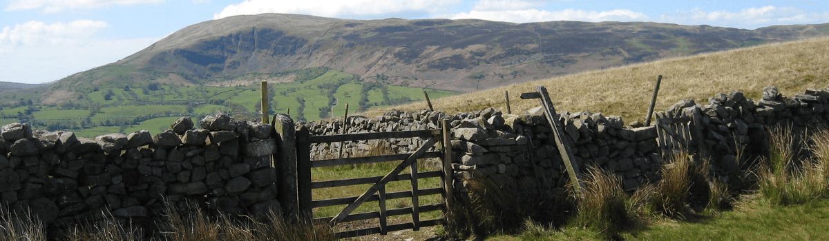 On the walk from Dent to Sedbergh via Rise Hill