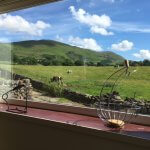 Blue sky, Winder, green fields and cows can be seen through the caravan window.