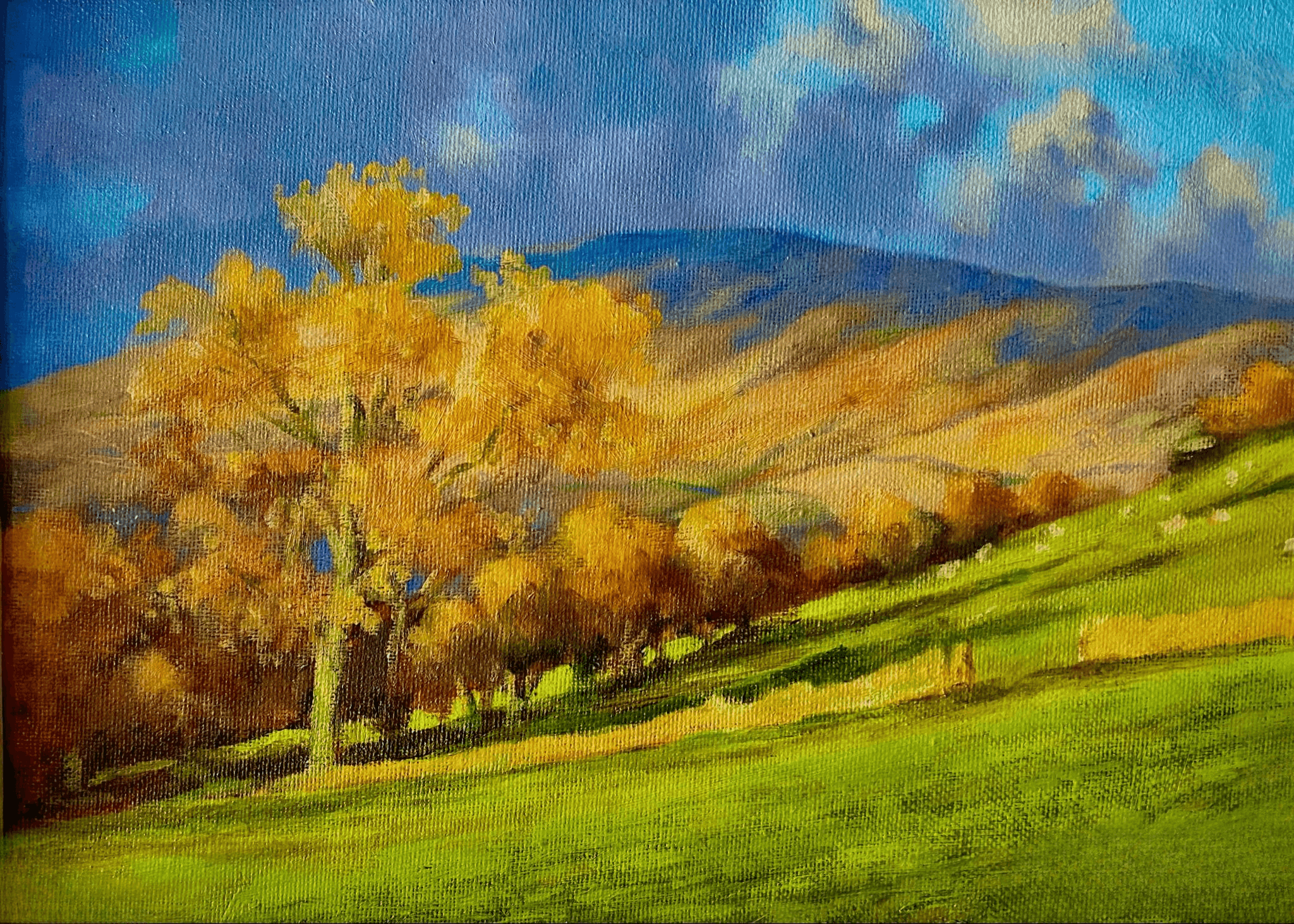 Autumn Howgills Acrylic Painting Workshop with Stuart Gray - Visit Sedbergh
